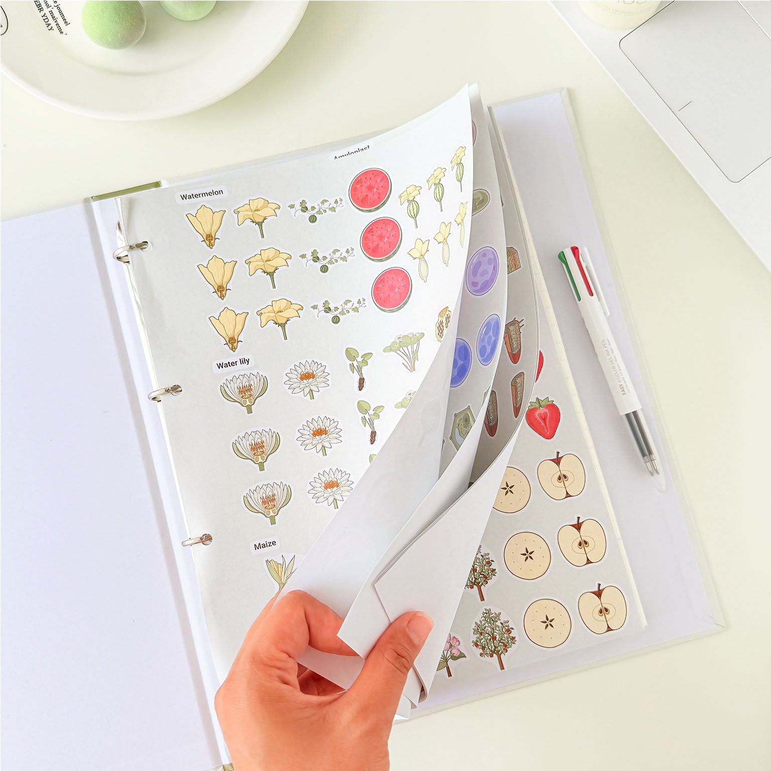 Botany science notebook with flip-through pages featuring detailed botanical illustrations of flowers, fruits, leaves, seeds, and plant anatomy.