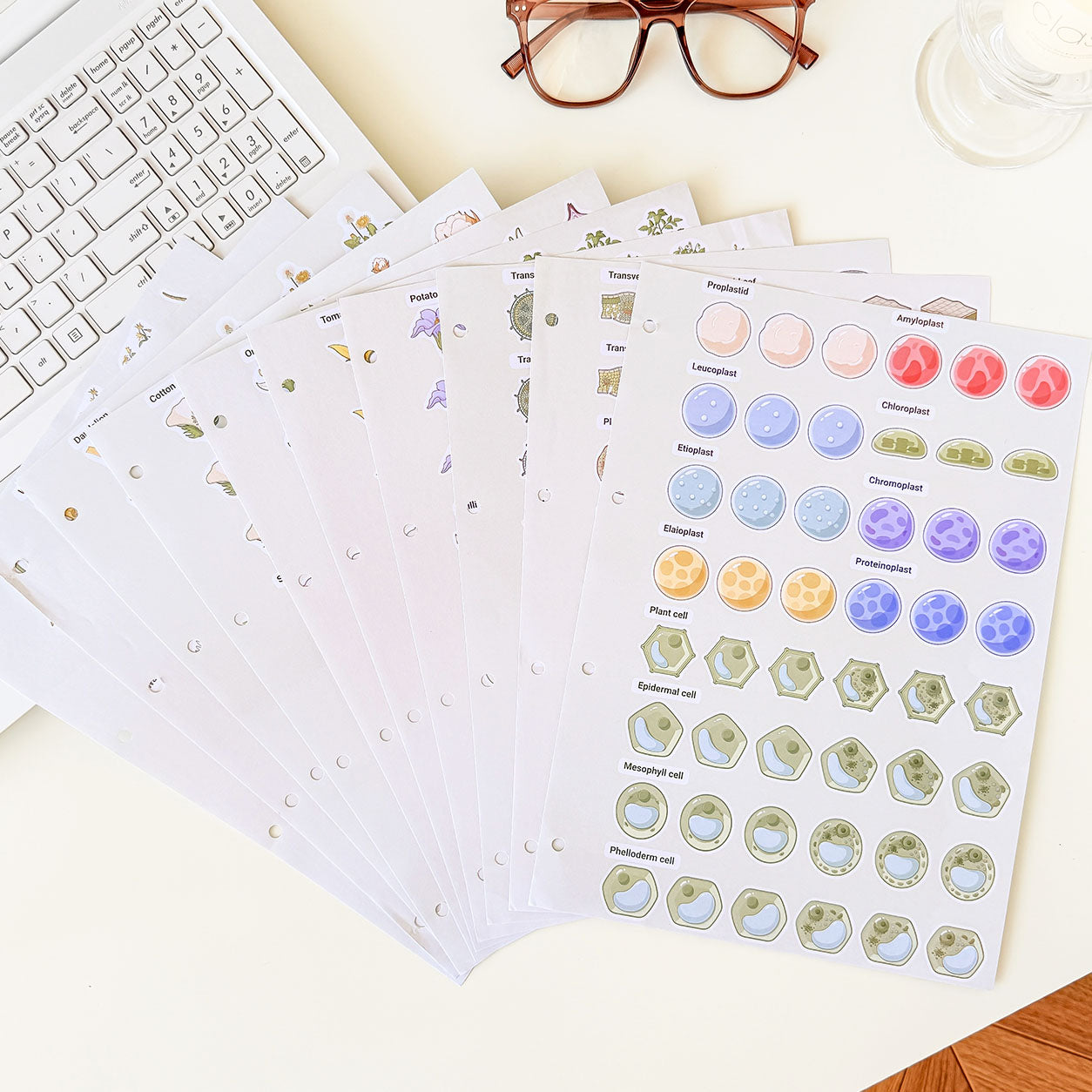 Botany science notebook with illustrated educational pages featuring detailed plant cells, chloroplasts, chromosomes, and botanical anatomy diagrams.