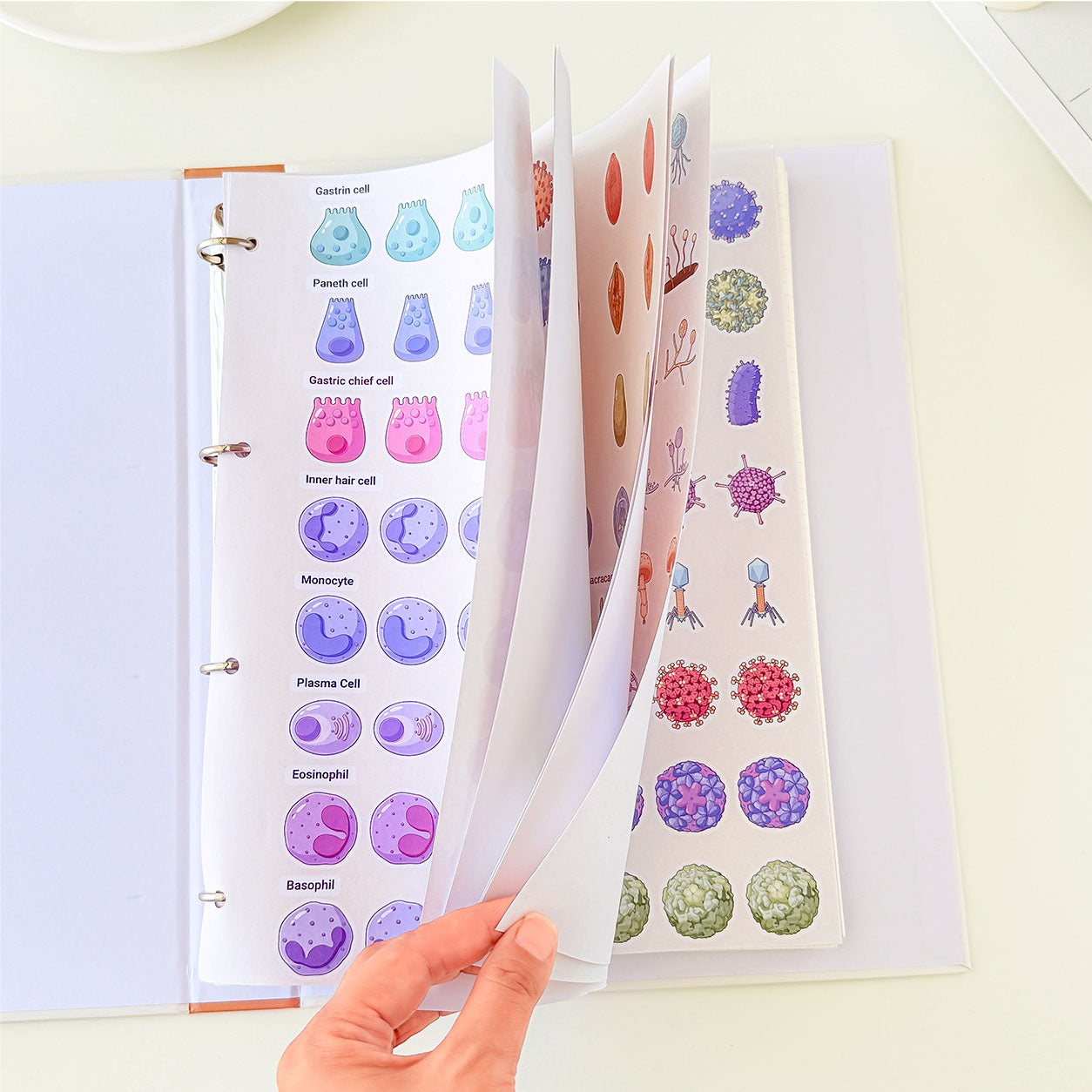 Cell and microbiology science notebook with flip-through educational sticker pages featuring cells, bacteria, viruses, fungi, and microorganisms.