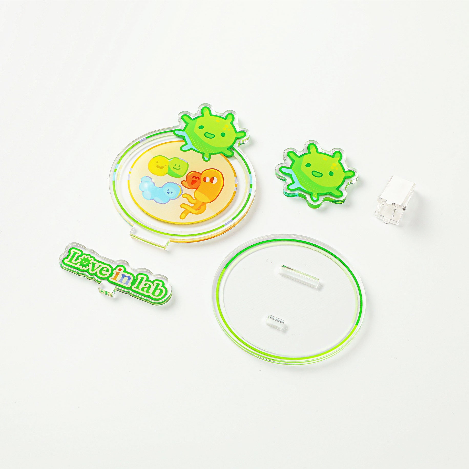 Green bacteria acrylic display clip featuring a sturdy stand for memos, phone support, and science-themed desktop decoration.