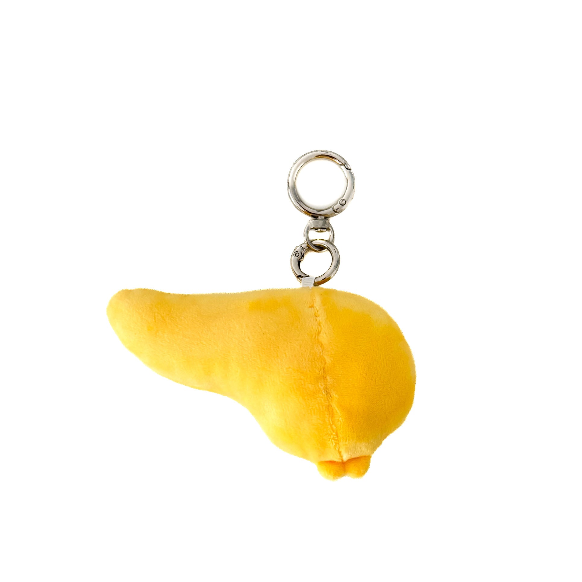 anatomical pancreas plush keychain for medical students, healthcare workers, and anatomy lovers.