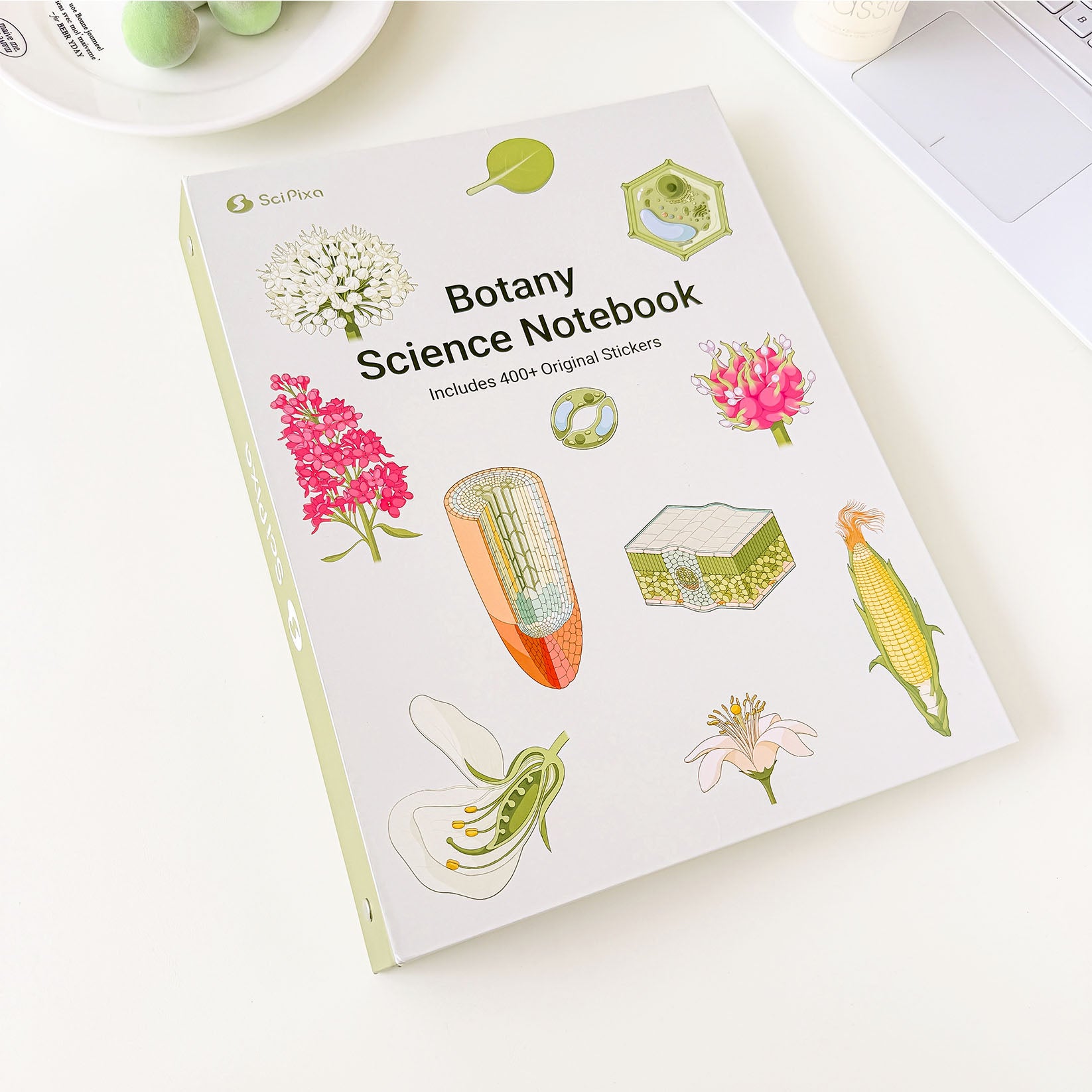 Botany science notebook featuring detailed botanical illustrations of plant anatomy, flowers, leaves, seeds, and plant cells.