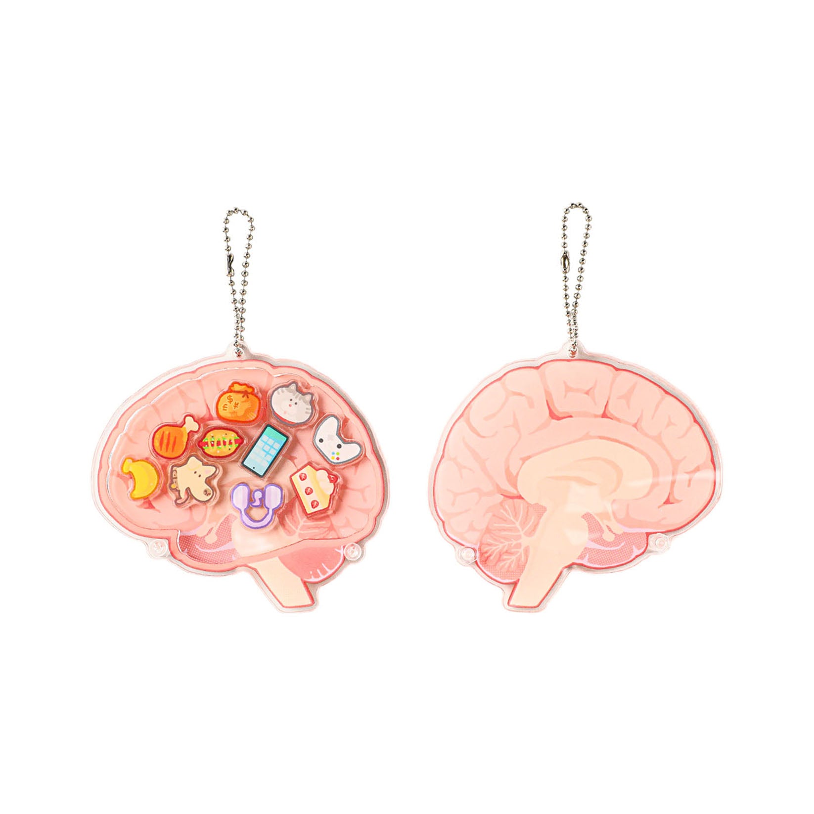 Double-sided brain acrylic shaker keychain featuring detailed neuroanatomy artwork and playful memory-themed icons, perfect for neuroscience students, healthcare professionals, and science enthusiasts.