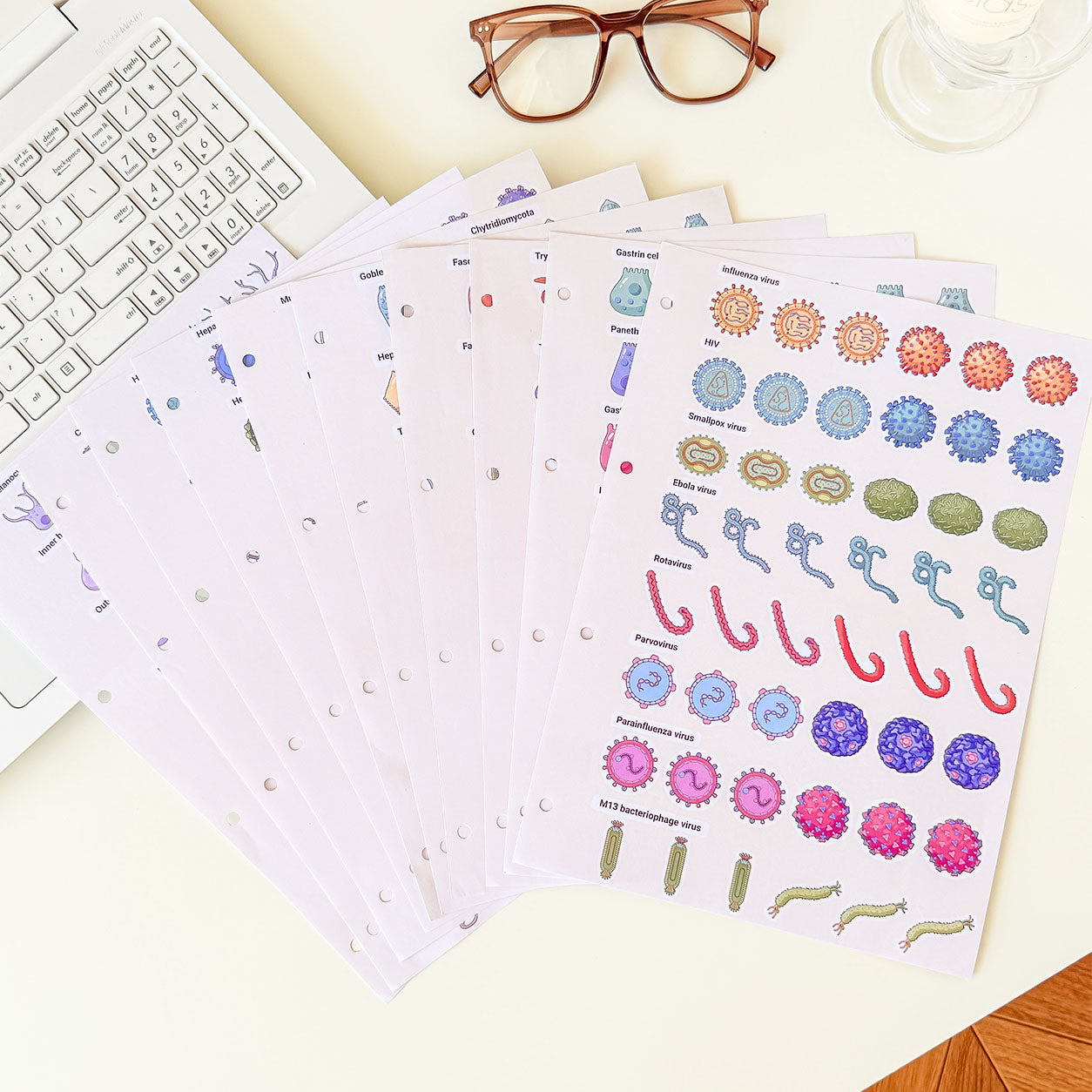 Cell and microbiology science notebook with over  original  stickers featuring cells, bacteria, viruses, fungi, and microorganisms.