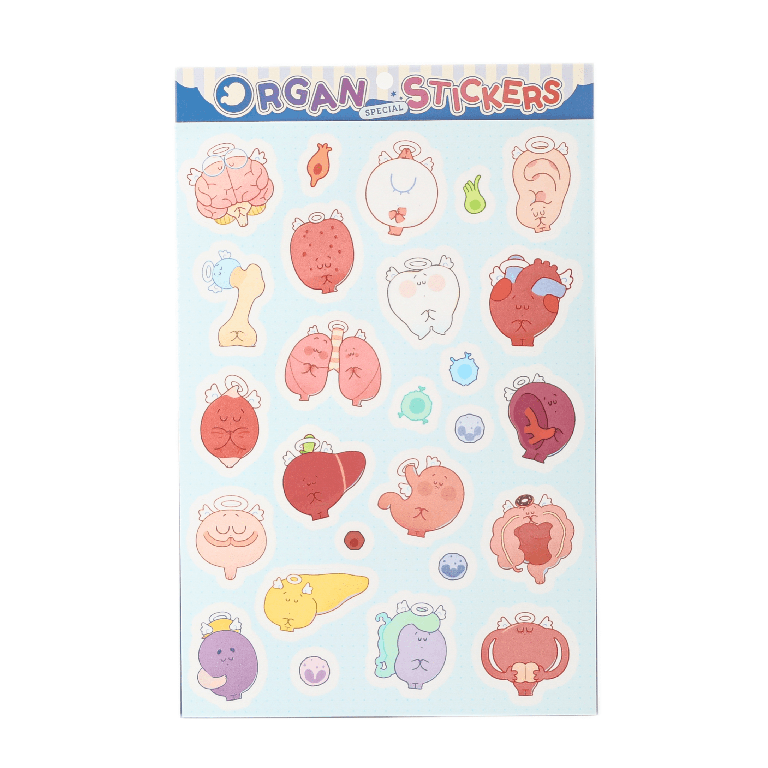 Anatomy organ sticker sheet featuring adorable cartoon body organs and cells, perfect for decorating journals, laptops, water bottles, planners, and science stationery.