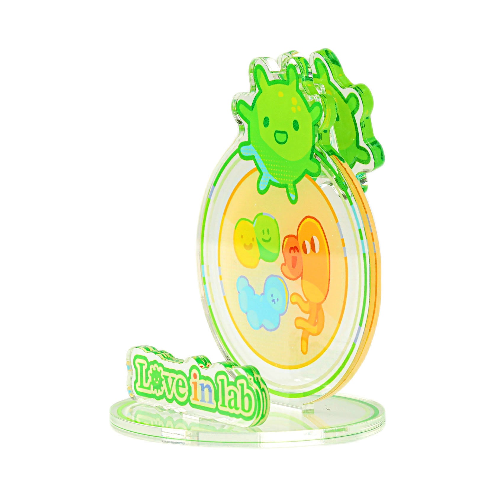 Cute bacteria acrylic clip that holds notes, works as a phone stand, and doubles as a fun laboratory desk decoration.