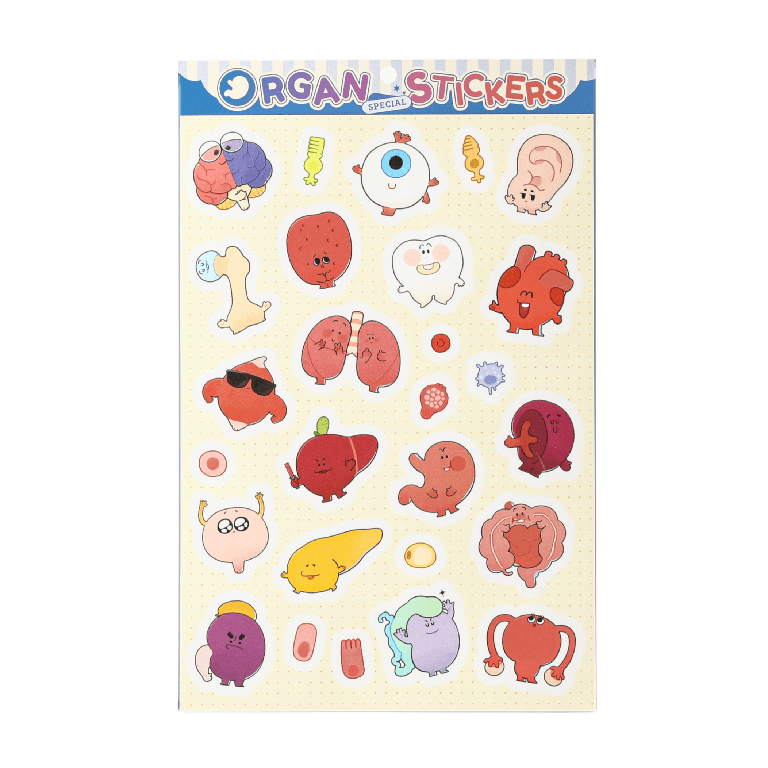 Cute organ anatomy sticker sheet featuring cartoon brain, heart, lungs, liver, kidney, stomach, and other anatomical organs.