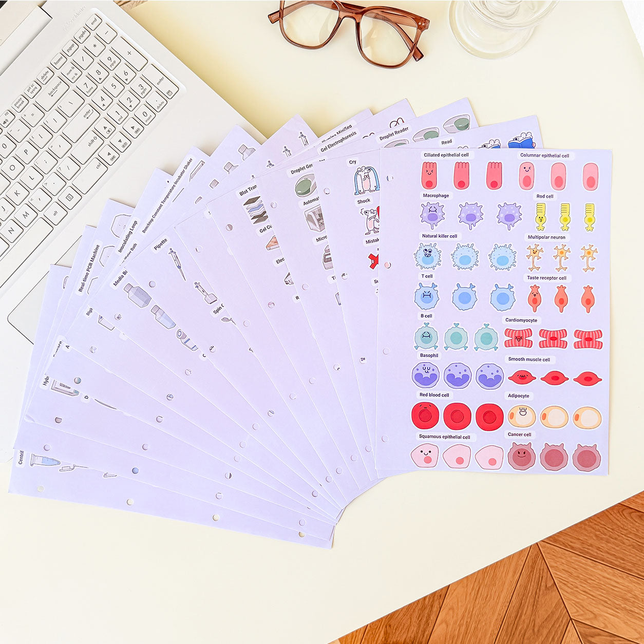 Laboratory notebook with illustrated educational pages featuring human cells, immune cells, blood cells, and laboratory science diagrams.