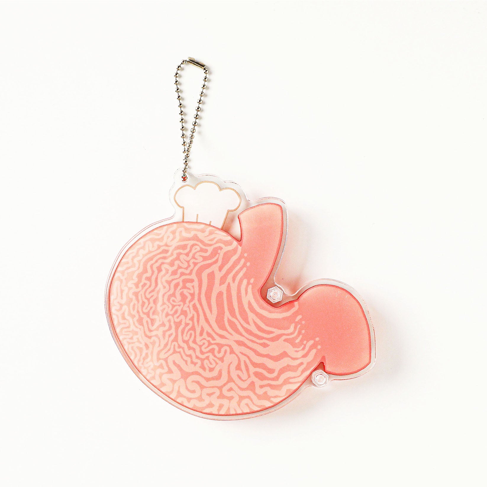 Anatomy-inspired stomach acrylic keychain with front and back organ details, combining educational medical illustrations with playful  style.